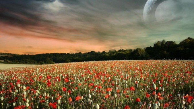 IntelliJ IDEA 中有什么让你相见恨晚的技巧?